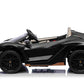 Lamborghini Sian 24V Kids Ride on Car 2 Seater with Remote & Drift Function - Black